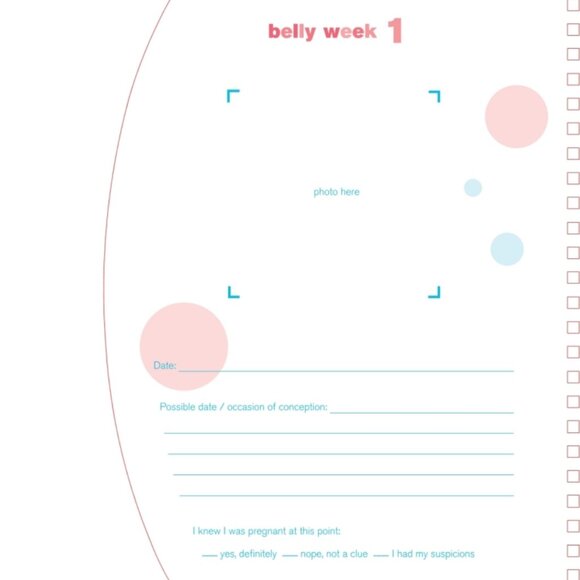 The Belly Book by Amy Rosenthal, New - Picture 2 of 4